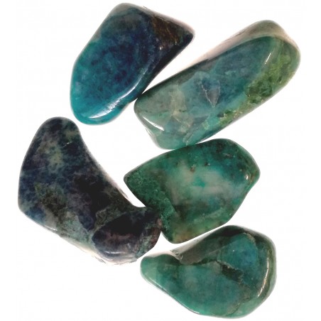 Chrysocolle